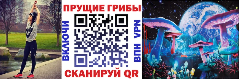 Псилоцибиновые грибы прущие грибы Купить закладки Великий Устюг