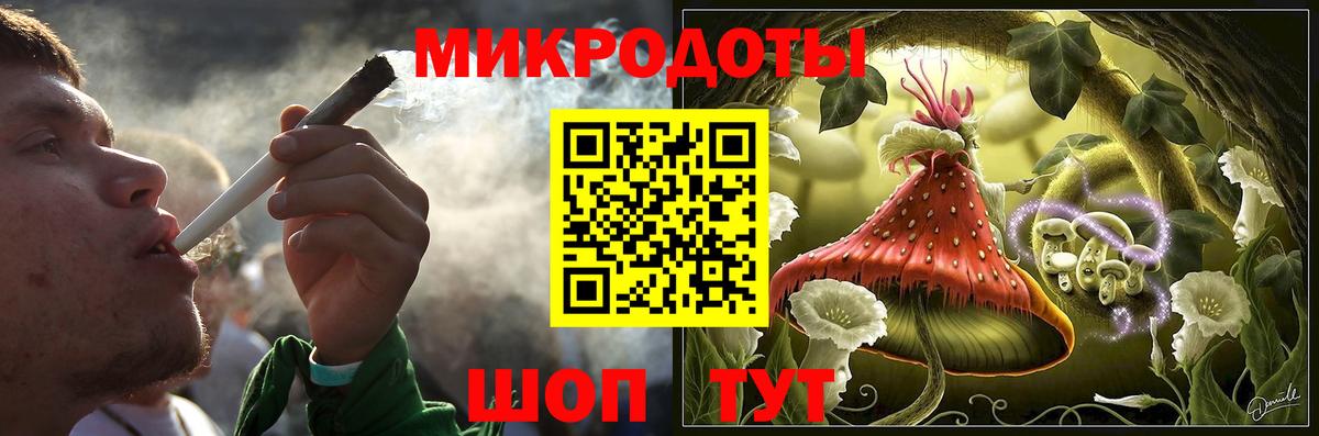 Галлюциногенные грибы мухоморы Великий Устюг