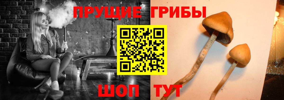 Галлюциногенные грибы MAGIC MUSHROOMS  Галлюциногенные грибы ЛСД  Великий Устюг 