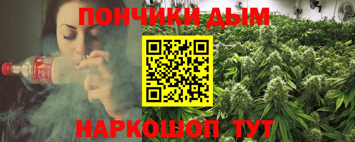 Бошки Шишки марихуана  Великий Устюг  Бошки марихуана тримм  Бошки Шишки планчик  Бошки марихуана White Widow 